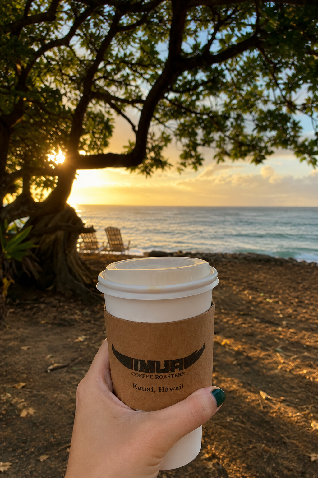 42 Espresso | Signature Espresso Blend | IMUA Coffee Roasters