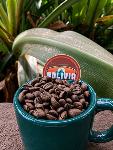 Organic Boliva Coffee | IMUA Coffee Roasters
