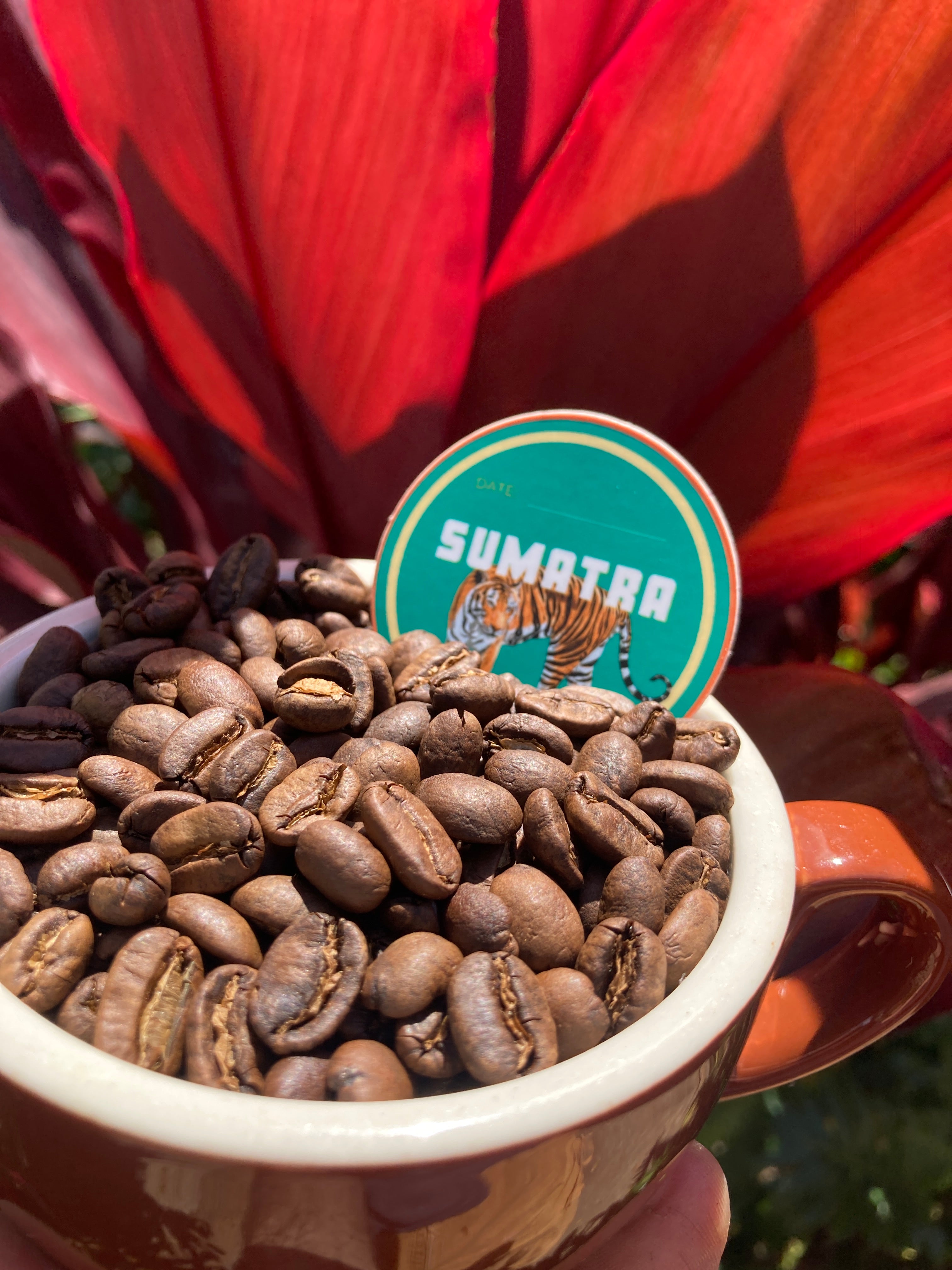 Organic Sumatra Coffee | IMUA Coffee Roasters